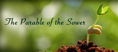 parable tagalog|The Parable of the Sower .